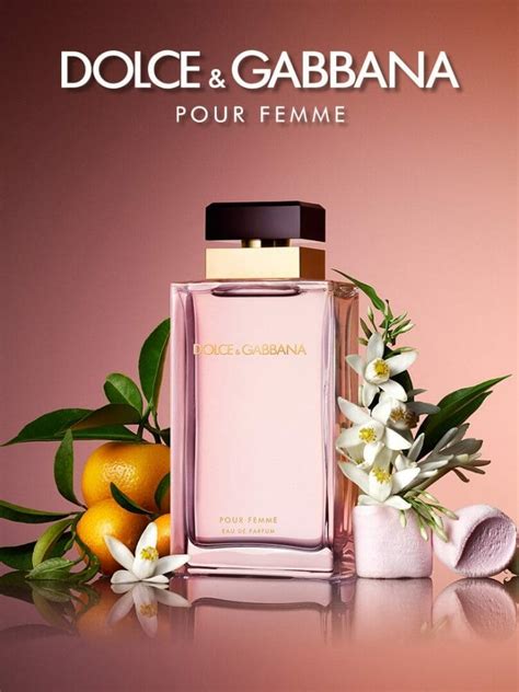 parfum winteredition dolce gabbana|dolce and gabbana perfume prices.